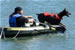 Checking out the action in McCovey Cove