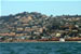 Tiburon