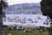 Catalina Yachts Rendezvous, Angel Island