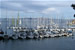 Catalina Yachts Rendezvous, Angel Island